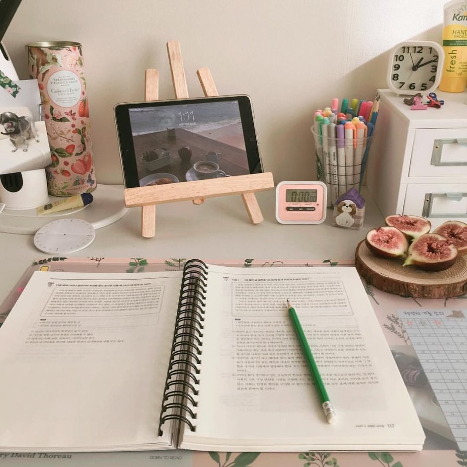 Комната для девушки с письменным столом