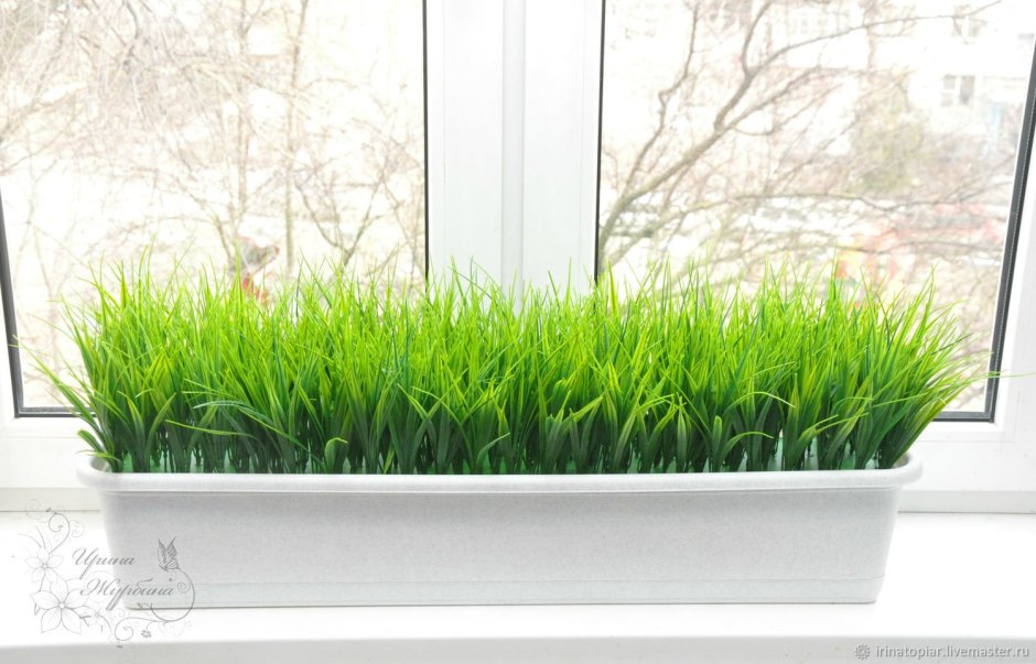 Горшки для зелени на подоконнике