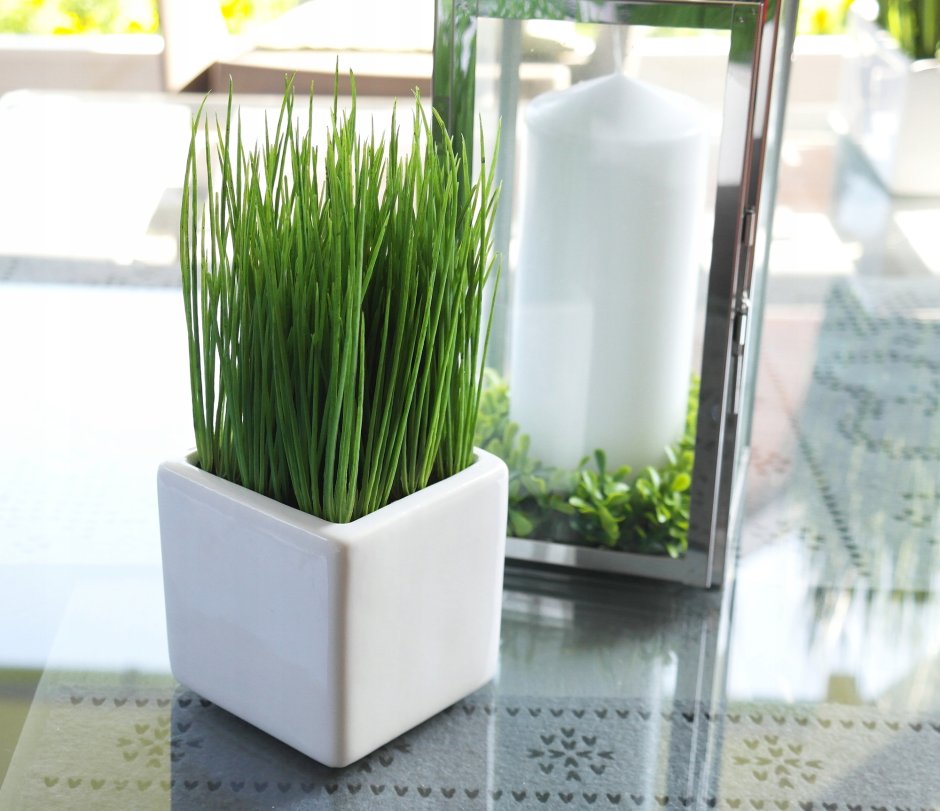 Икеа фейка травка