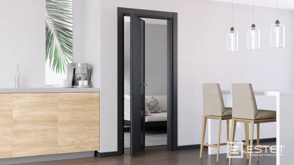 Рото дверь Инвизибл