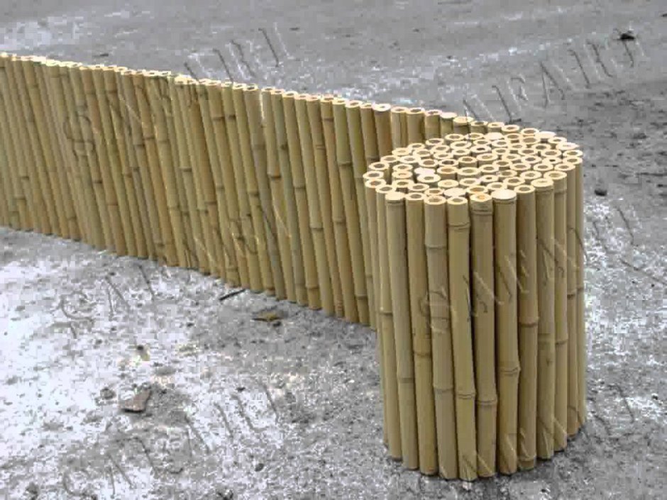 Изгородь тростник Леруа