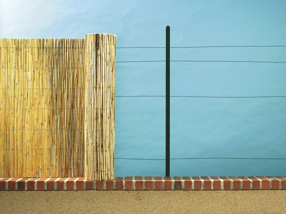 Камышовый забор 2х6м.