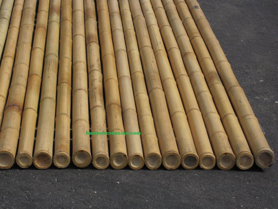 Забор из древовидного папоротника Garden show 2х5м