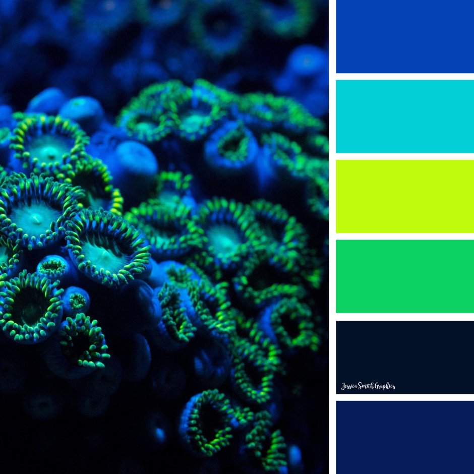 Палитра сине-зеленых цветов