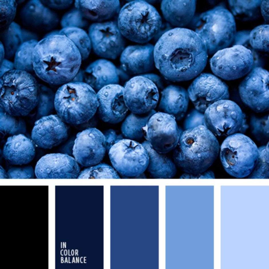 Монохромная синяя палитра