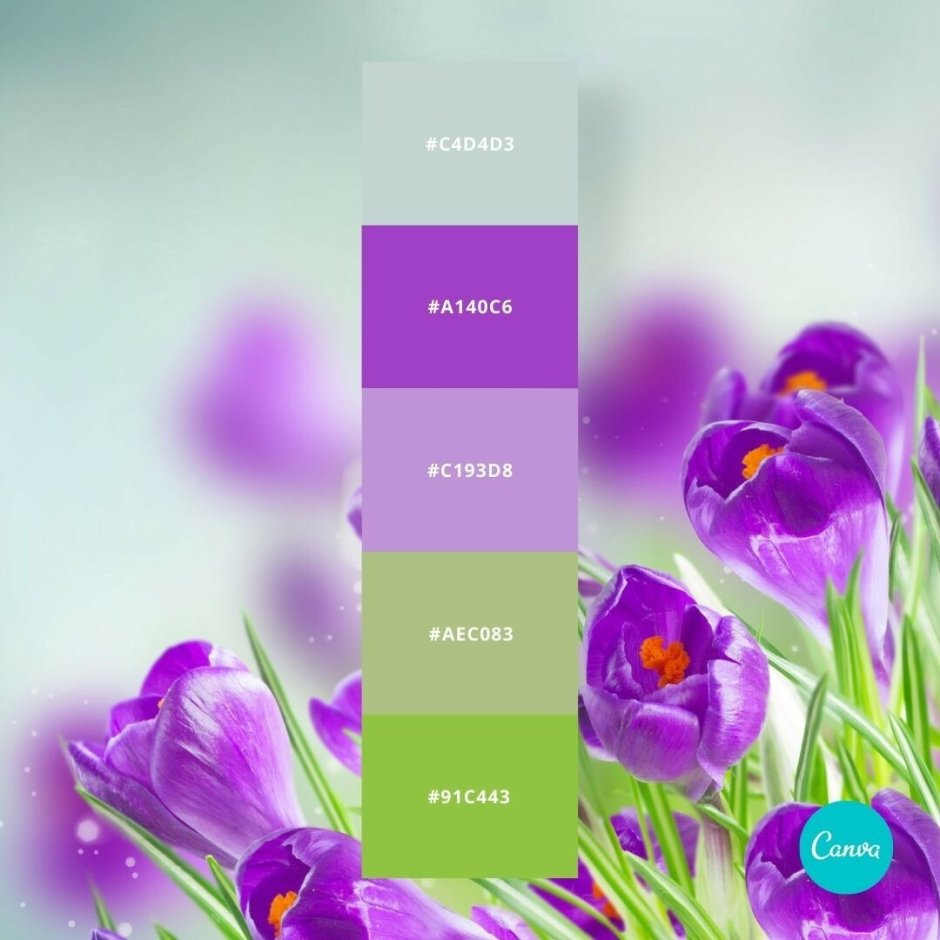 Цветовая палитра желто зелено фиолетовый