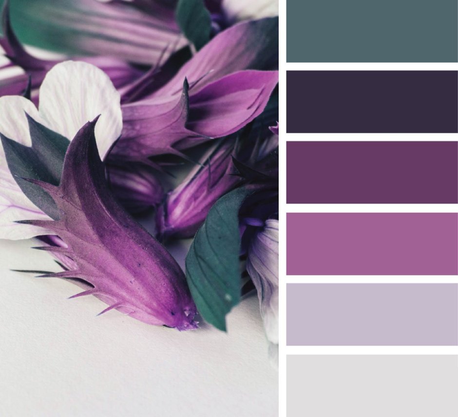 Цветовые Палитры Пурпл