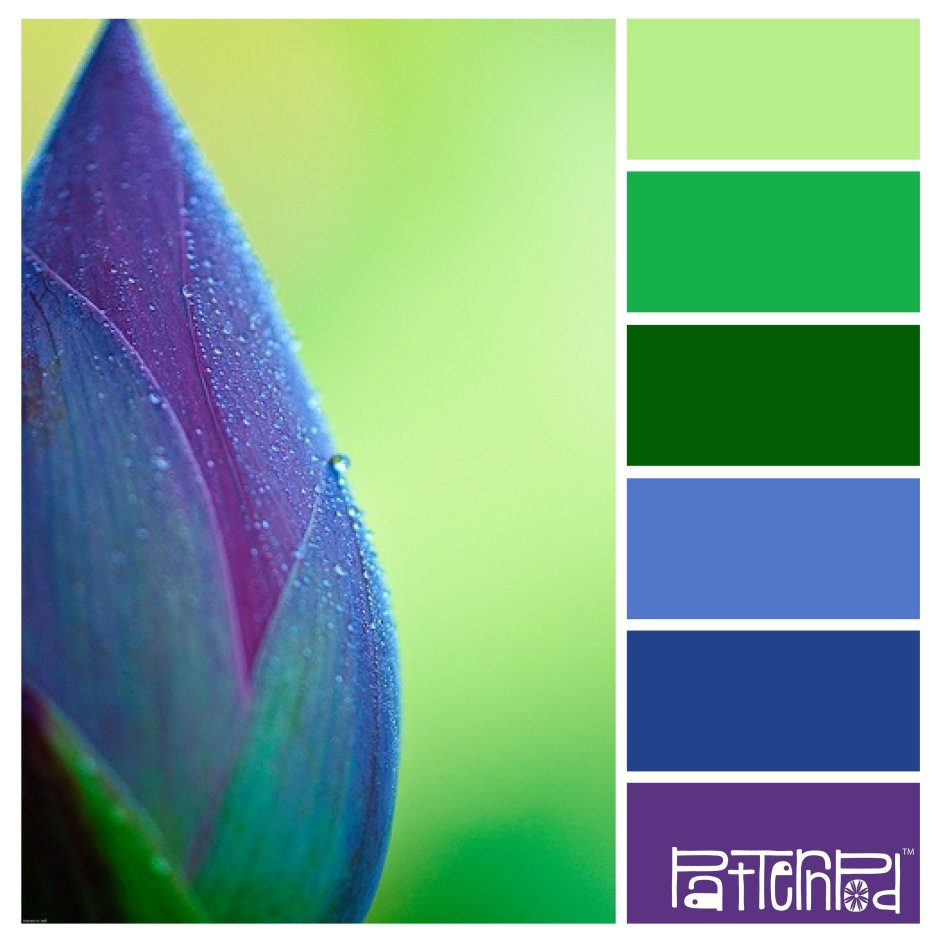 Сочетание цветов