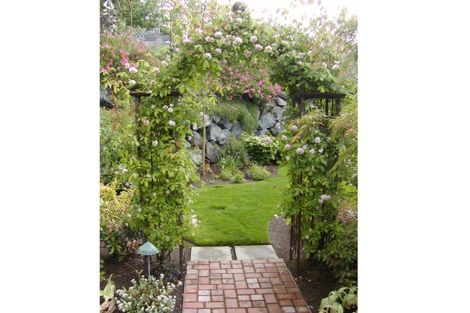 Дизайн сада и огорода в частном доме с актинидией