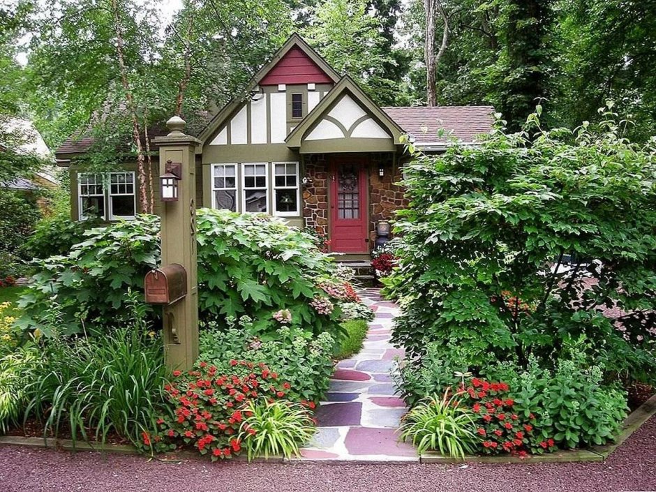 Туи и дерен вдоль забора