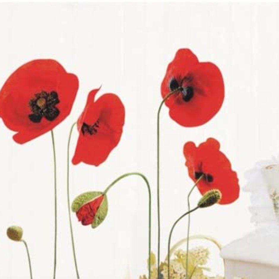 Шторы с маками