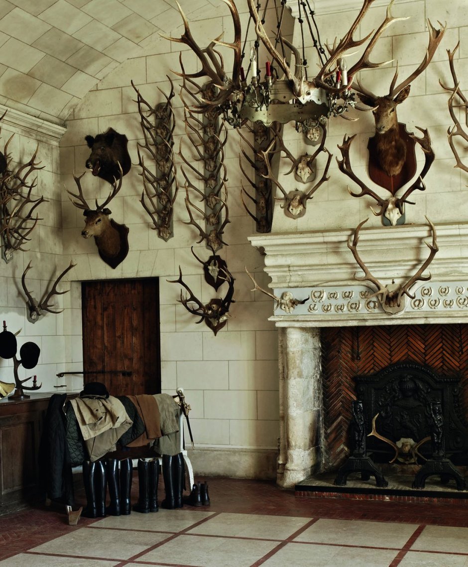 Шале Chalet papillon Courchevel