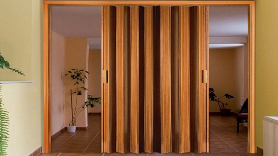 Двери на кухню раздвижные гармошка