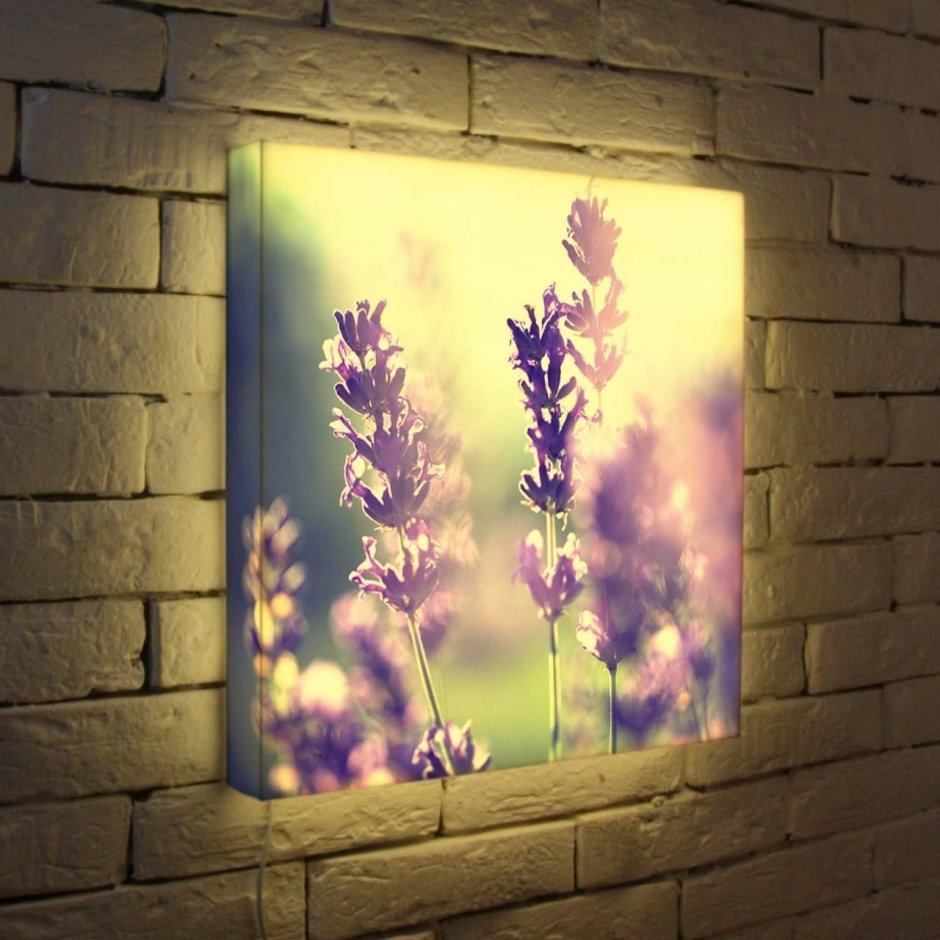 Лайтбокс NYC 2 25-25-D-110