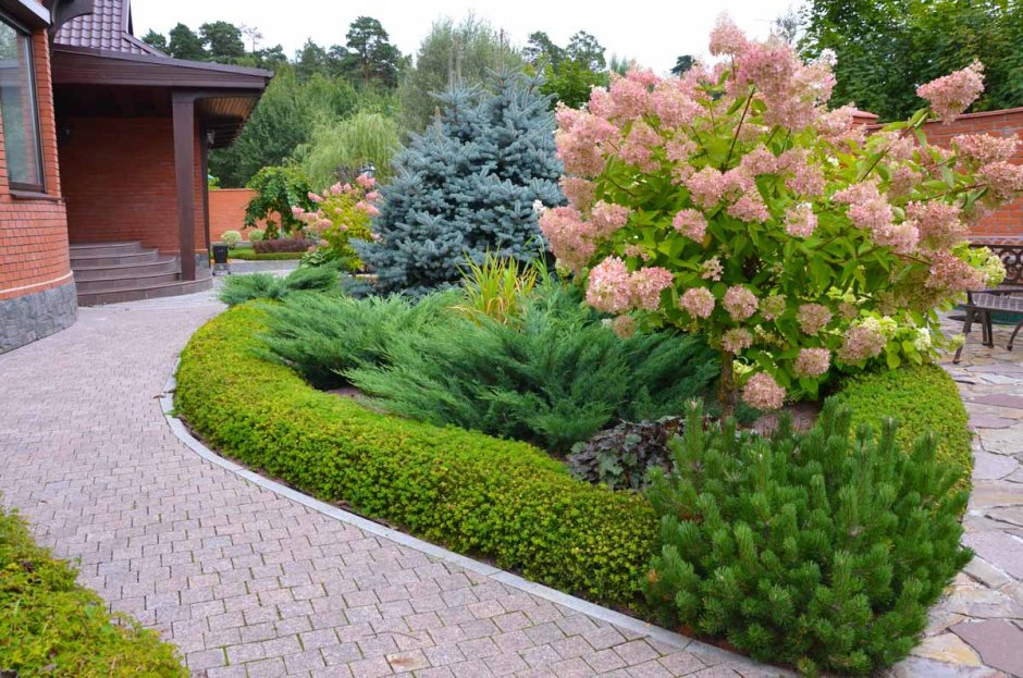 Миксбордер с туями и можжевельником