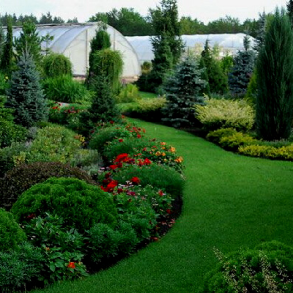 Миксбордер с туей Смарагд