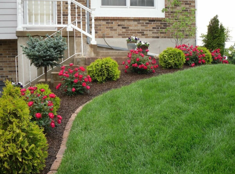 Хвойный миксбордер