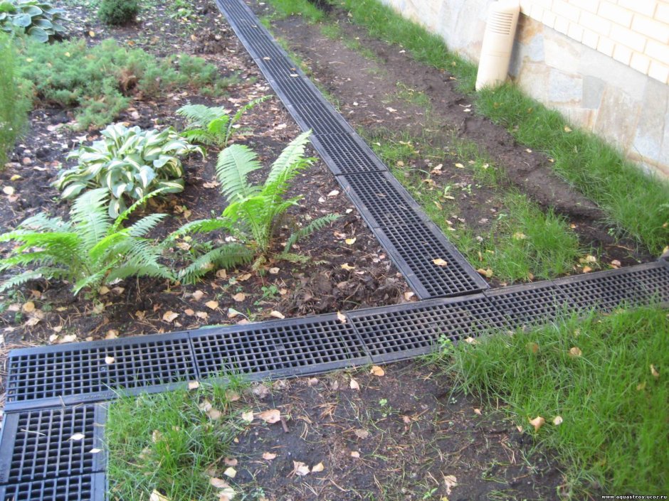 Отвод воды с участка