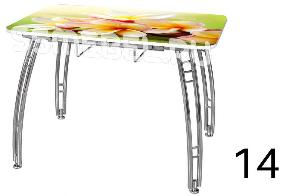 Стол обеденный фотопечать лайм