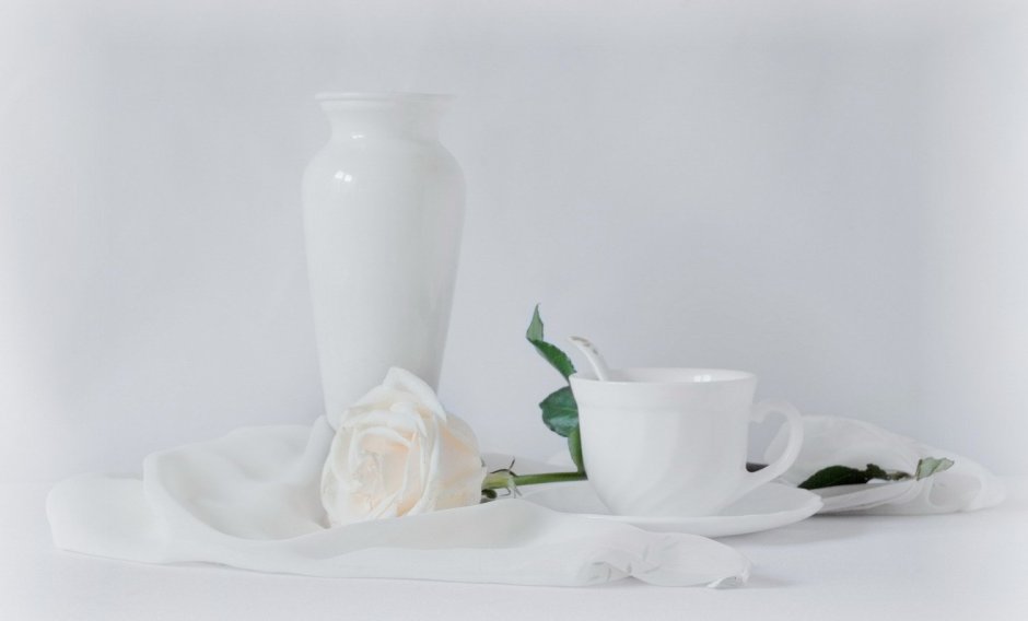 Белое на белом