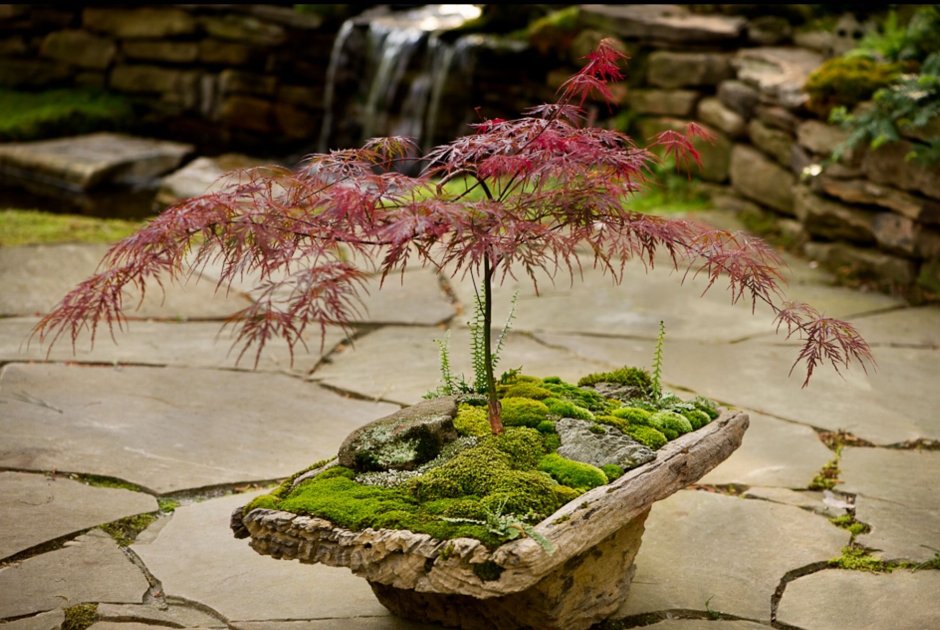 Сады ниваки Япония