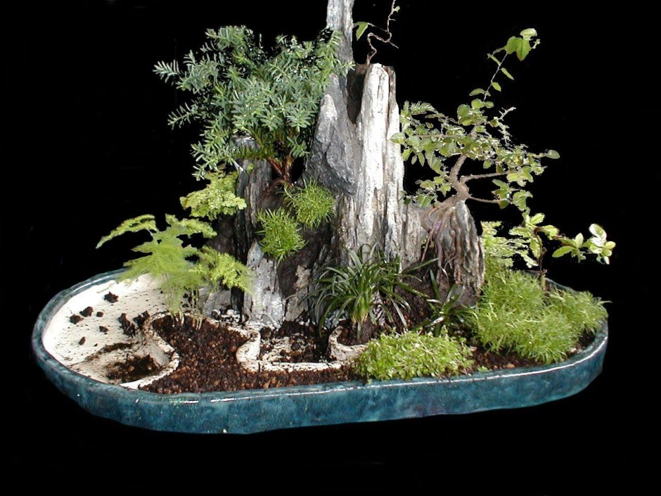 Бонсай миниатюрные сады в Японии