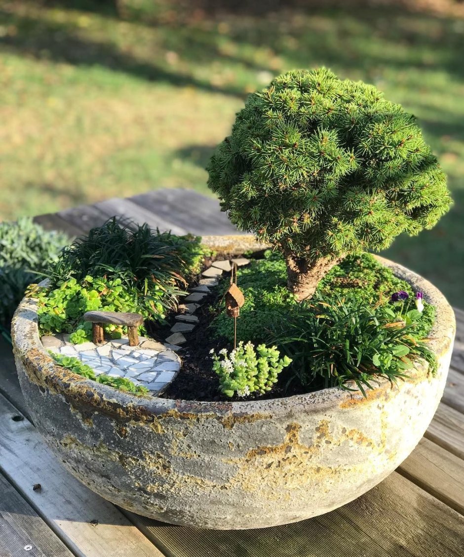 Ниваки японский ландшафт