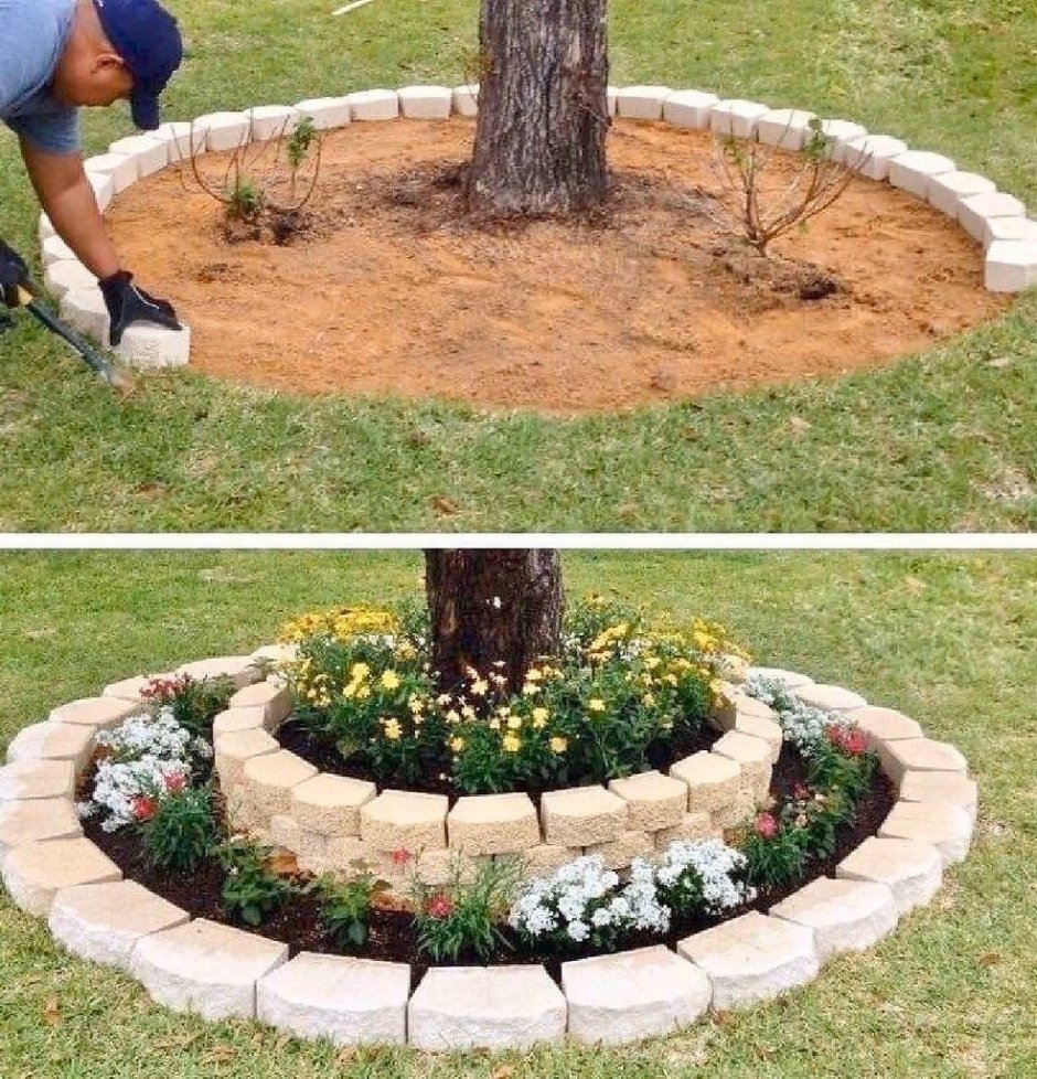 Самшит ниваки