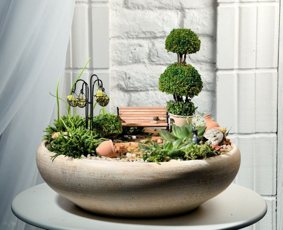 Туя бересклет скумпия миксбордер