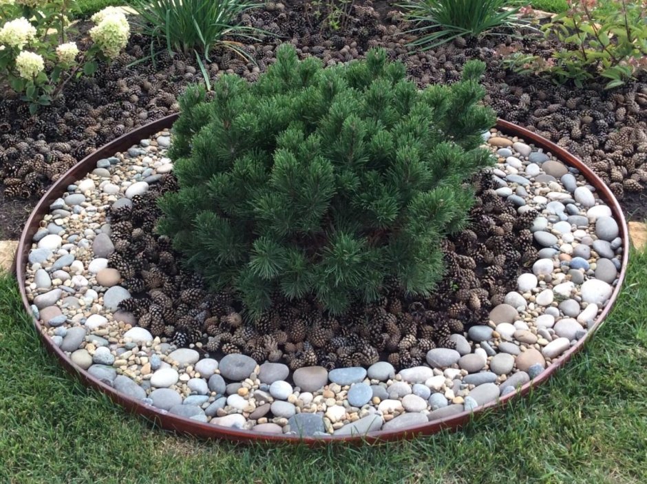 Рокарий сад бонсай Южная Корея