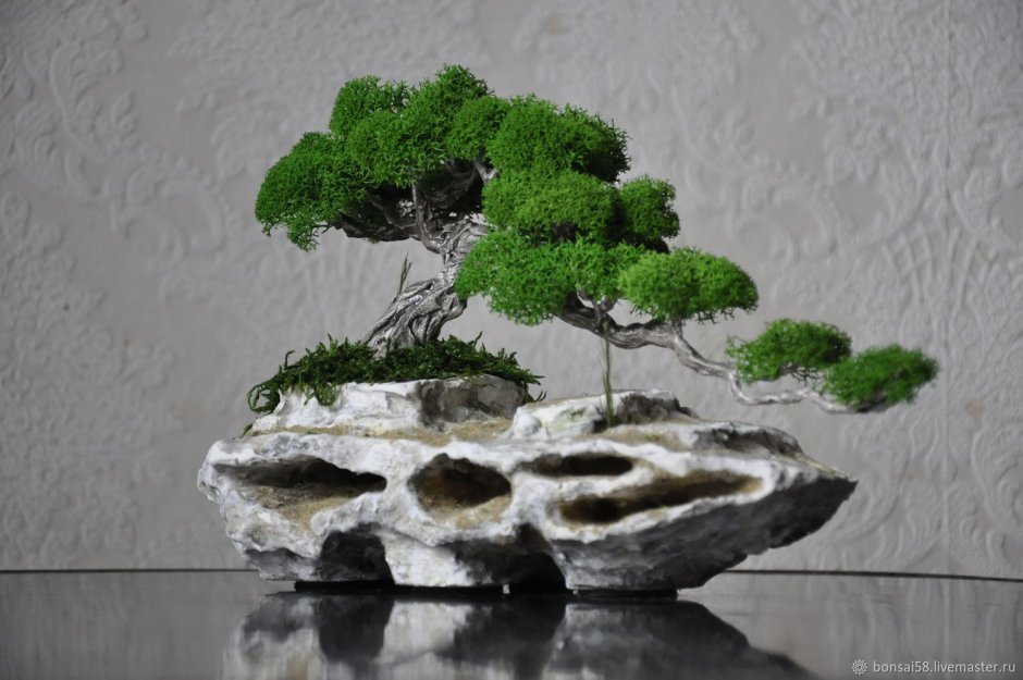 Клумба из пня