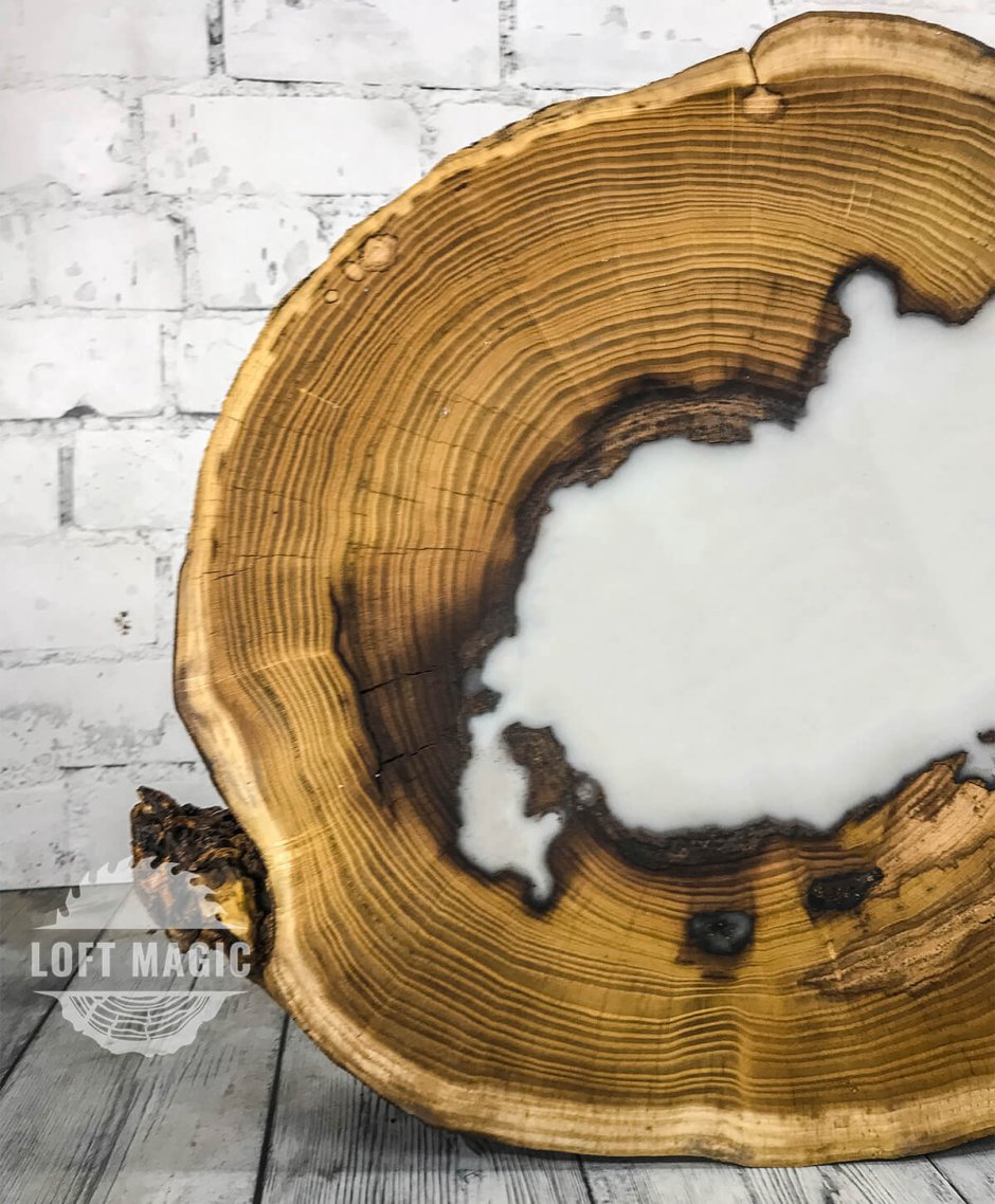 Спилы дерева для декора