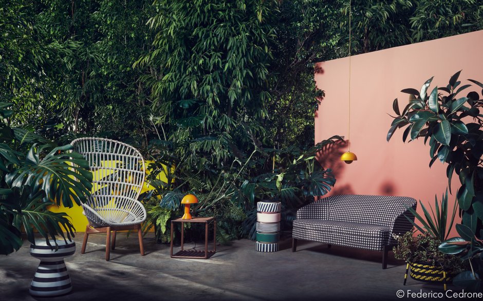 Фотостудия а стиле джунгли