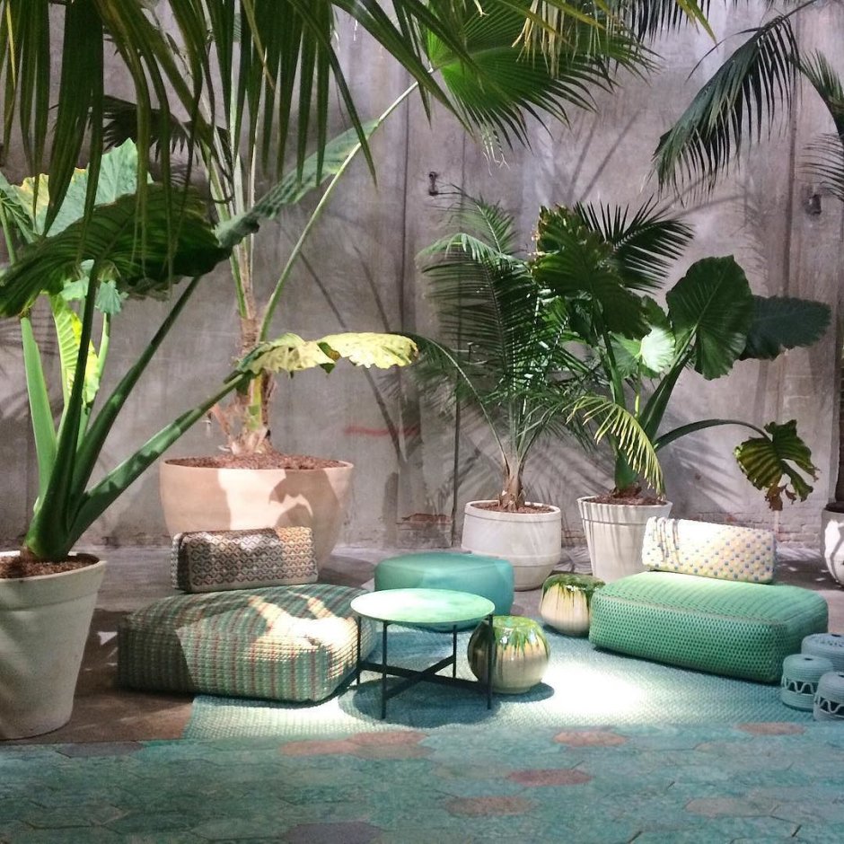 Гостиная в тропическом стиле