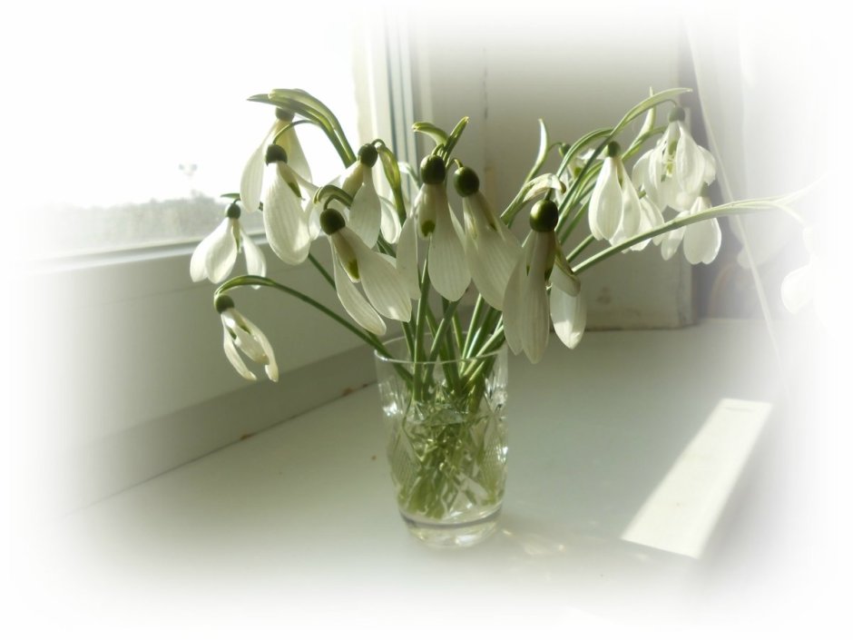 Ландыши и мускари