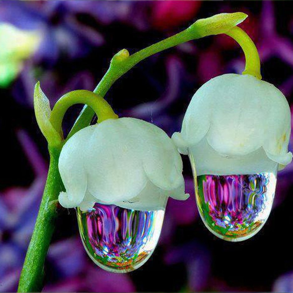 Светильники из изолона