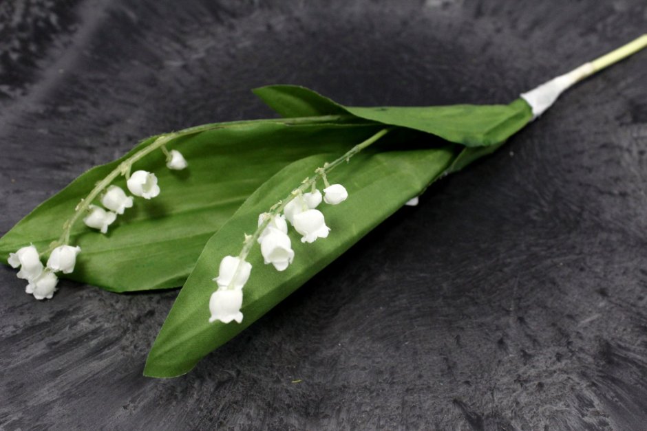 Команда Ландыши