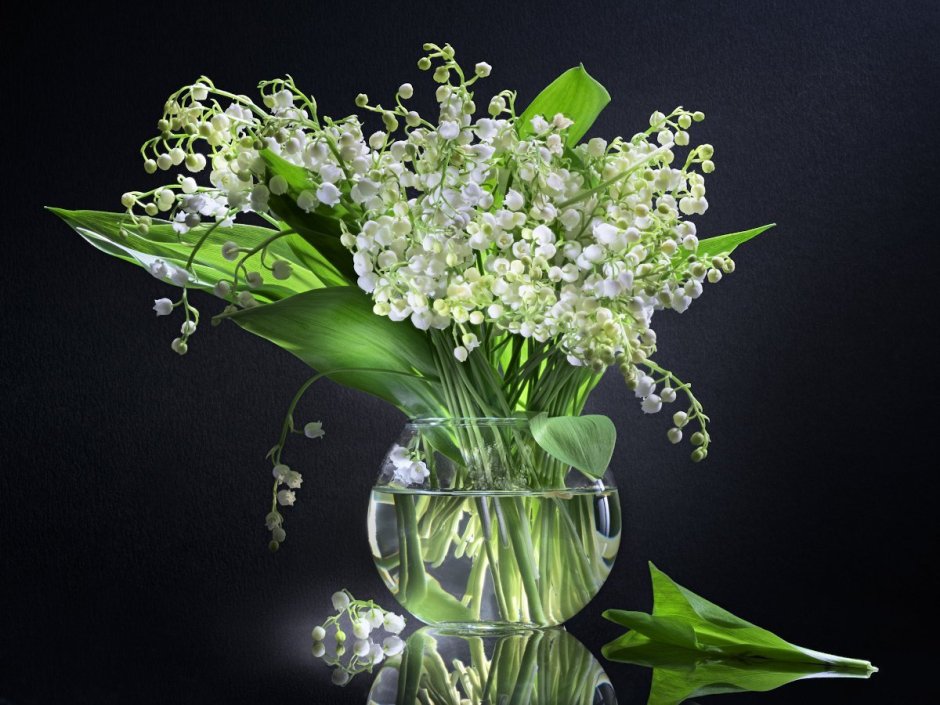 Весенний Вечерний натюрморт