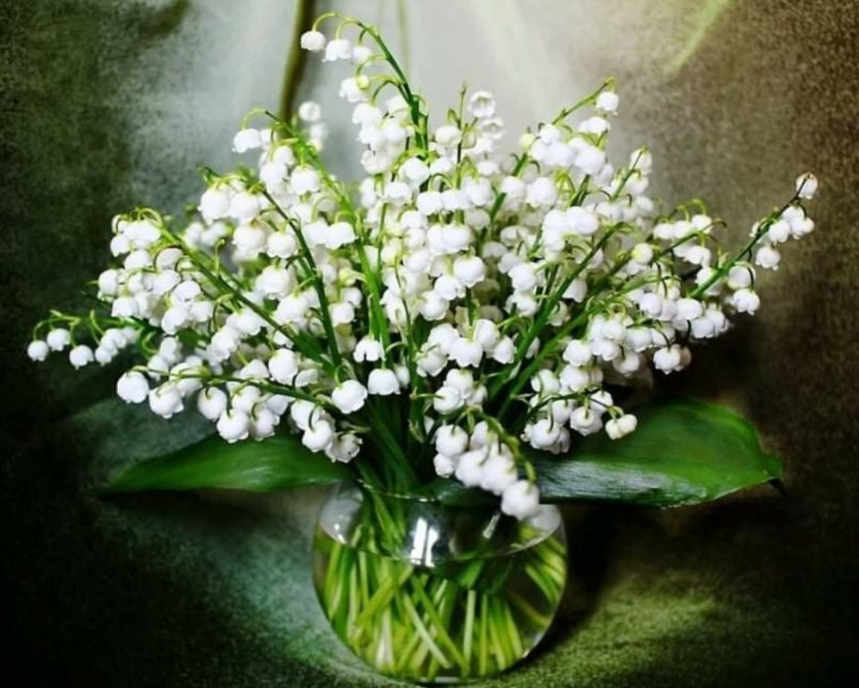 Ландыши в вазе на окне