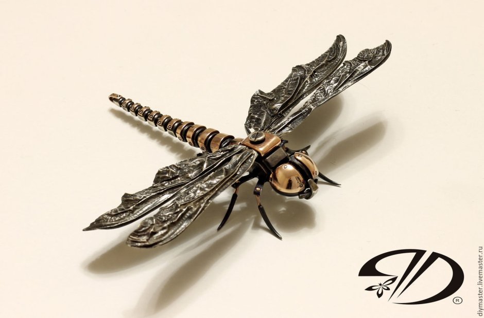 Стрекоза ковка