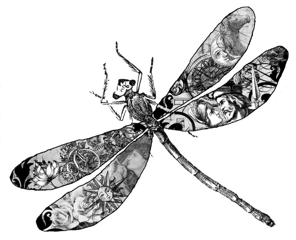 Стрекоза Графика