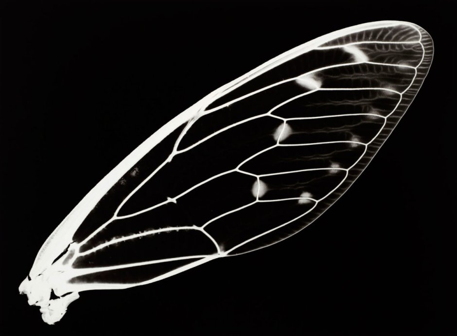 Весенний декор на люстру