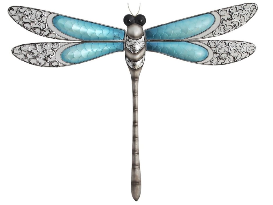 Виды стрекоз рисунок