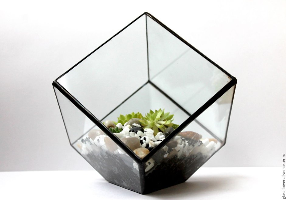 Glass Flowers флорариум