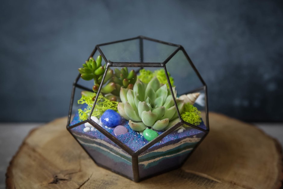 Флорариум Кристалл