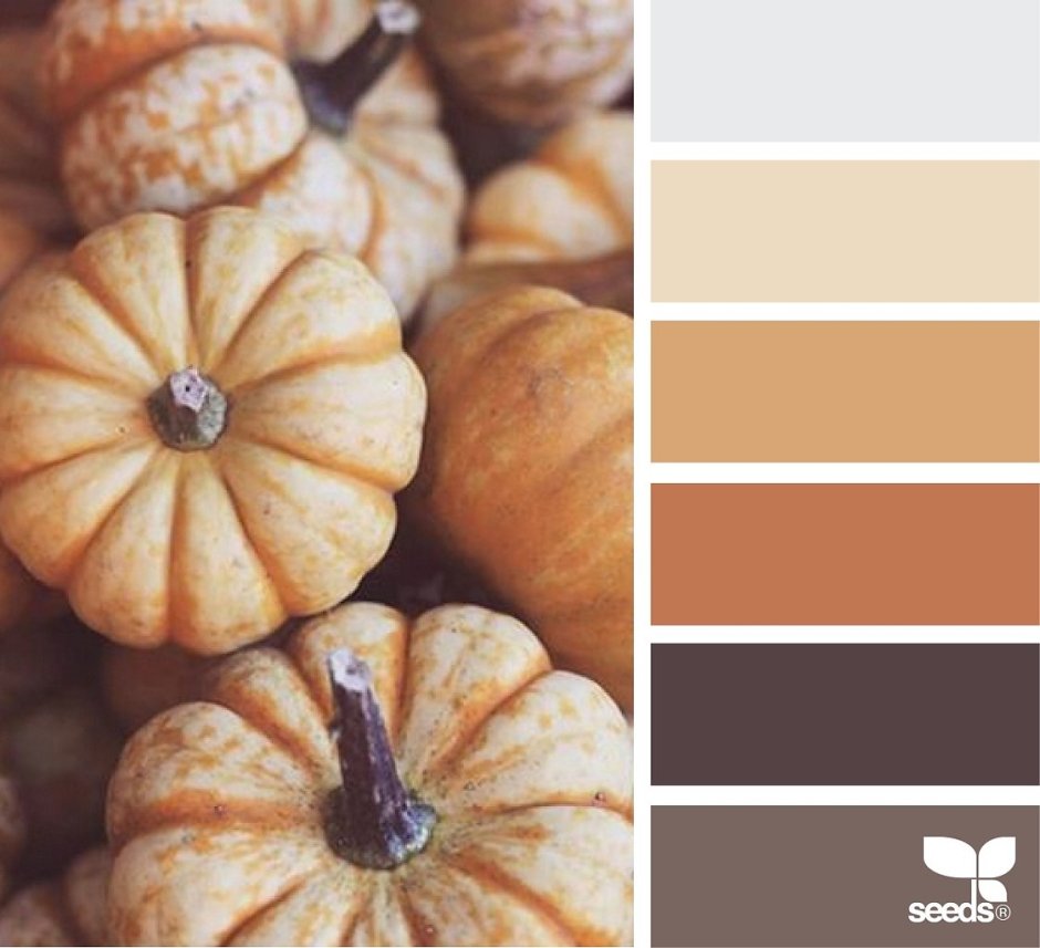 Цветовые Палитры Сидс