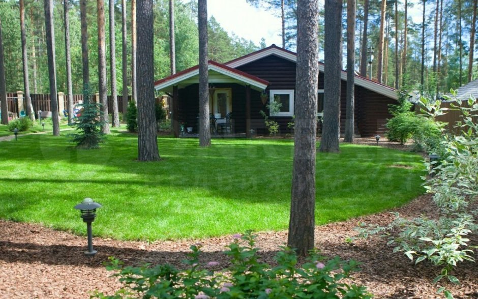 Поселок Новорижский Борки