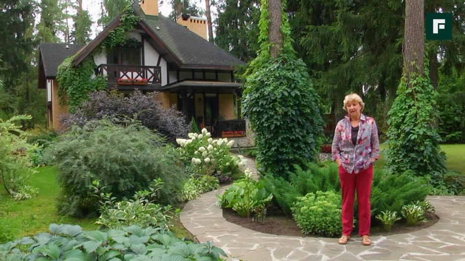 Благоустройство дачного участка