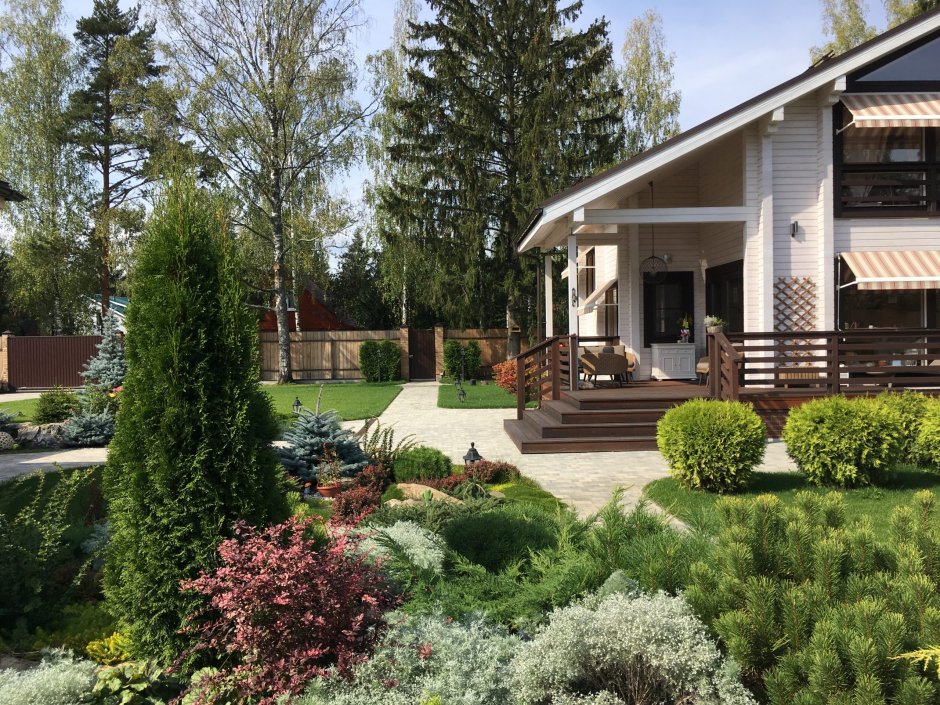 Сад Людмилы Кудасовой