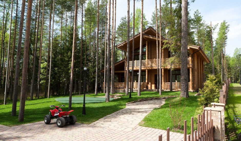 Хвойный лес Нижний Новгород